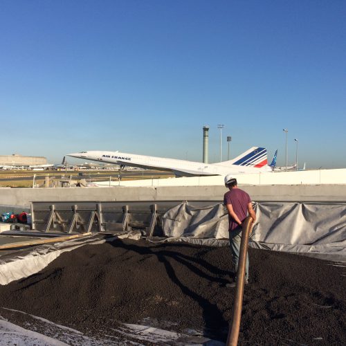 Charles de Gaulle Airport Green Roof 1