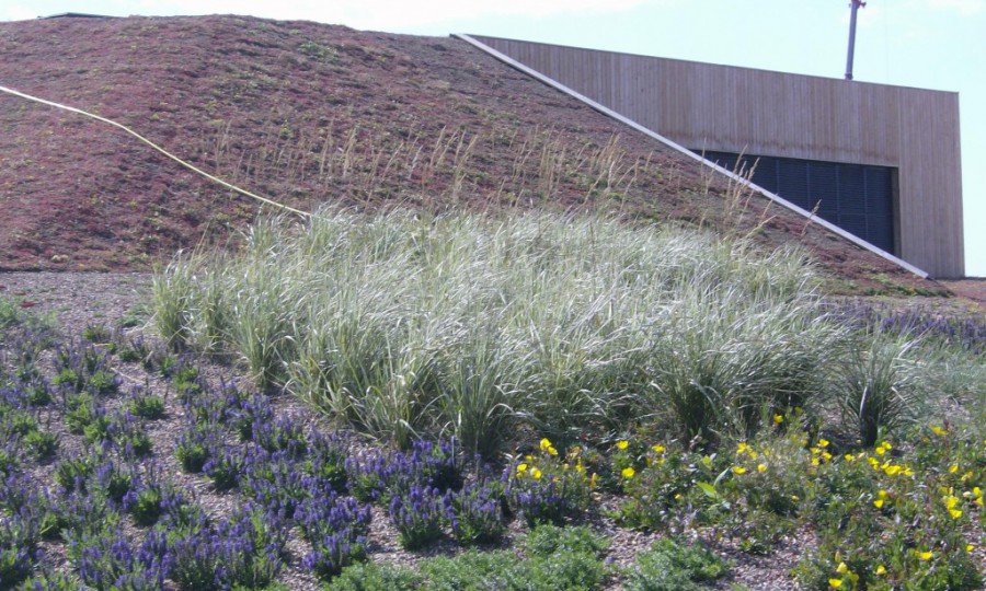 GREEN - Green Roofs