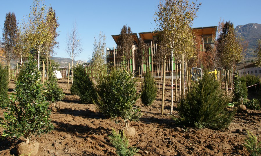 GREEN - Landscaping