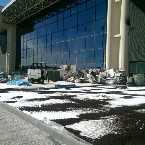 Malpensa Airport Green Roof 1