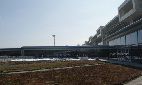 Malpensa Airport Green Roof (Italy – Laterlite – 2016)