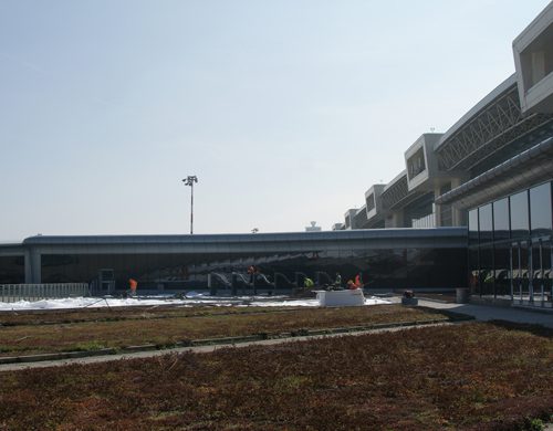 Malpensa Airport Green Roof 3