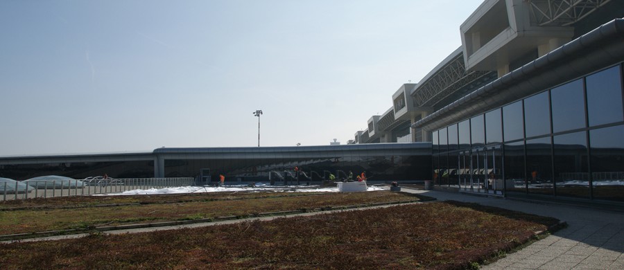Malpensa Airport Green Roof (Italy – Laterlite – 2016)