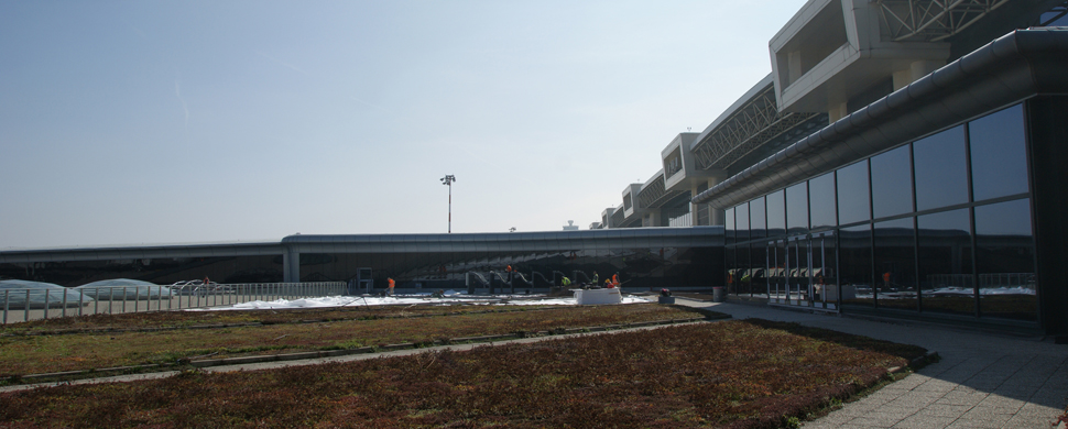 Malpensa Airport Green Roof 3